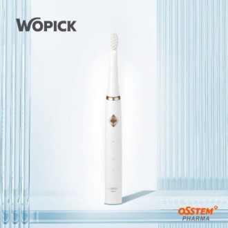 ������ ���� ����ĩ�� WO-100W