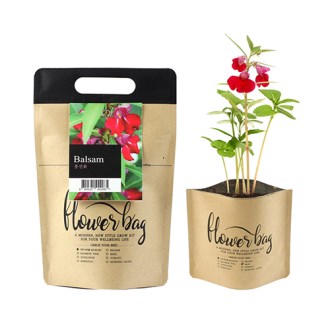 NEW �ö���� ���� ȭ�� ŰƮ- ����ȭ