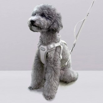 ���� ������ �ϳ׽� ���� ������ ��Ʈ ������� ������ ������ȣ ������ ������ ������ �ְ� �ݷ��� ��