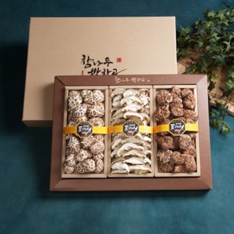 ������ ���� ǥ�� ���� ������Ʈ (��ȭ�� 3�� ��Ʈ) 