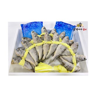 ������ ����Ʈ ��Ǳ��� 1ȣ 20�� (1.2kg / 16~17cm)