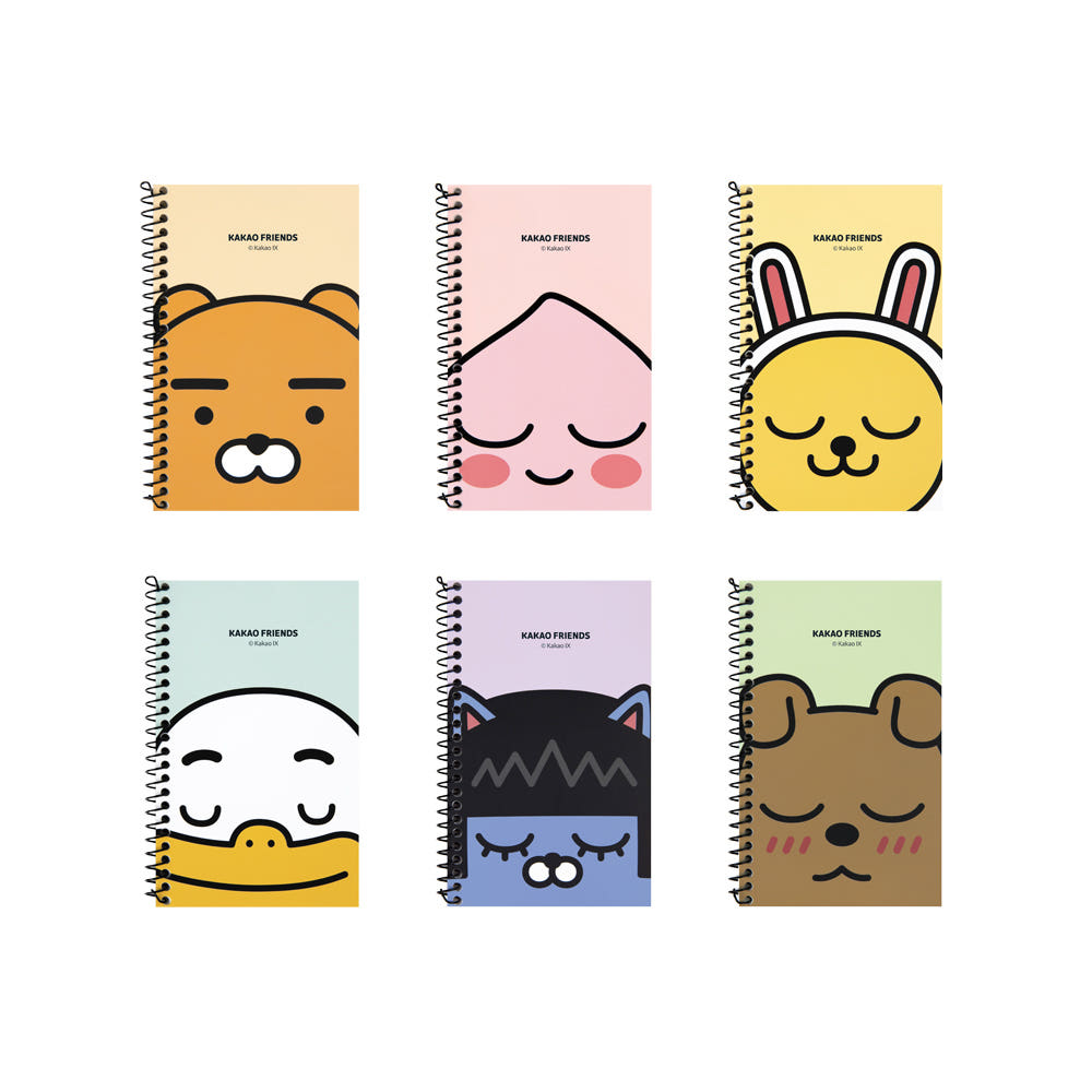 īī�� ���� ��ö��ø (10����) [J1]